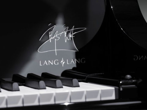 Steinway & Sons Black Dimond model B