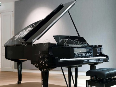 Steinway & Sons Philharmonie de Paris