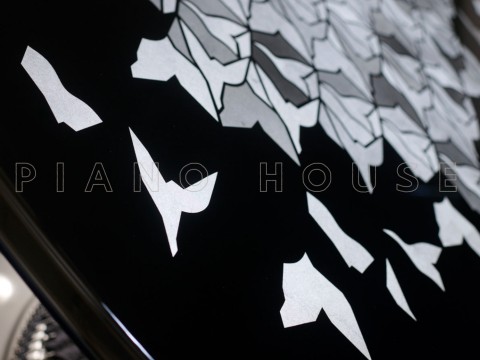 Steinway & Sons Philharmonie de Paris