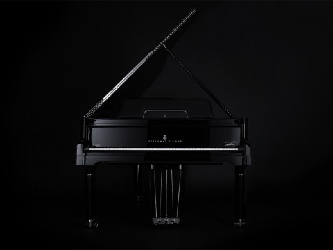 Steinway & Sons Gran Nichetto (The Black Polished)
