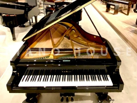 T186 (W.HOFFMANN TRADITION)