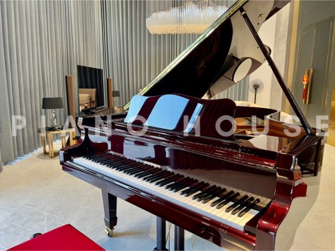 V183 (W.HOFFMANN VISION)