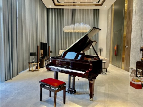 V183 (W.HOFFMANN VISION)