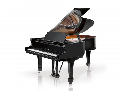 P206 (W.HOFFMANN PROFESSIONAL)