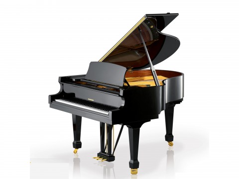 T177 (W.HOFFMANN TRADITION)