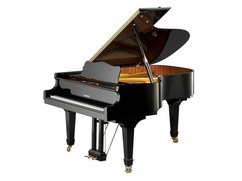 V175 (W.HOFFMANN VISION)