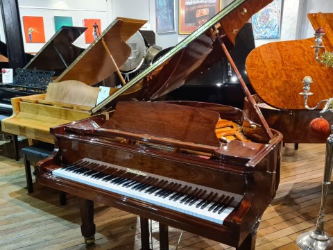 Wendl & Lung Mod.161 Professional I Mahogany