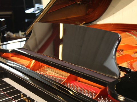 Wendl & Lung Mod.178 Professional II