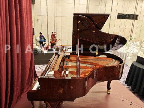 Wendl & Lung Mod.180