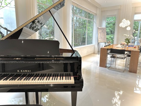 KAWAI GL20 PE