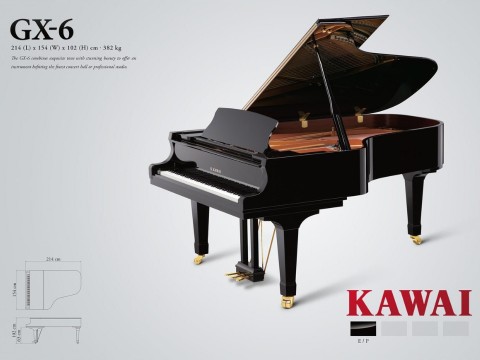 KAWAI GX6