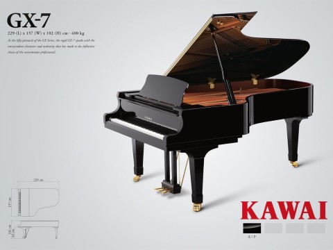 KAWAI GX7
