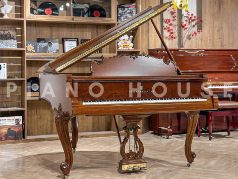 STEINWAY LOUIS XV - MODEL M