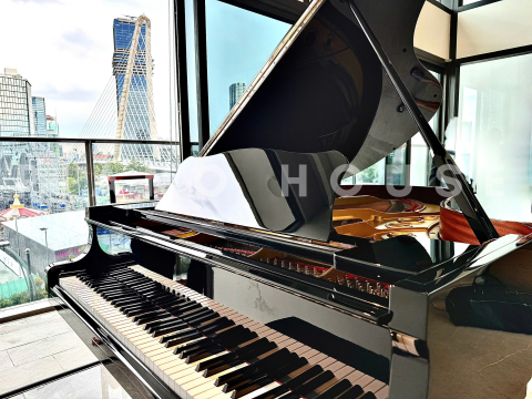 YAMAHA C5A PE Seri 4