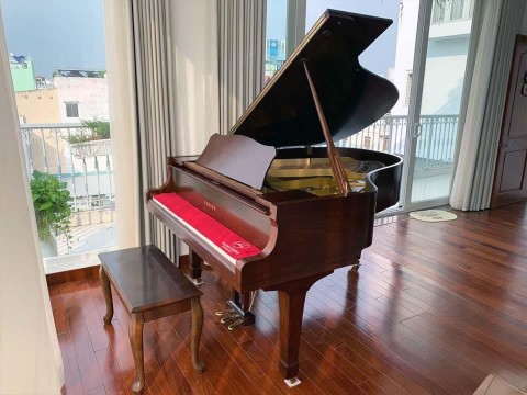 YAMAHA G3B Wn Seri 4.7