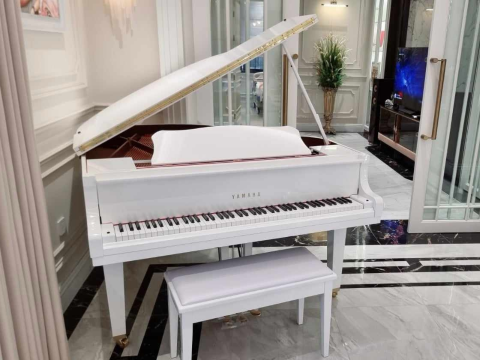 YAMAHA GB1K Trắng Camay