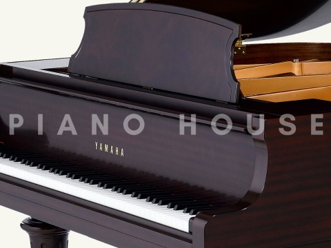 YAMAHA GB1KG (Georgian)