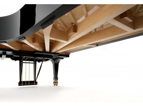 Fazioli F308 - The Longest Grand Piano