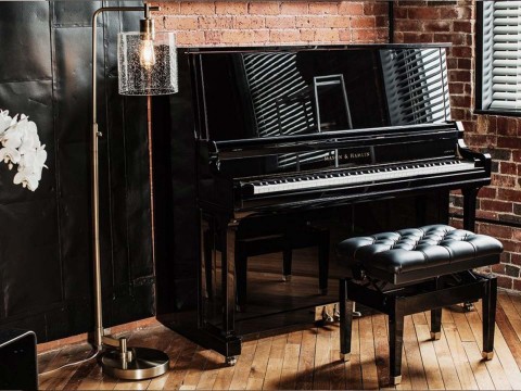 MASON & HAMLIN MODEL 50 (VX Series)