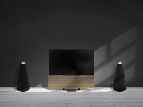 Loa B&O Beolab 20