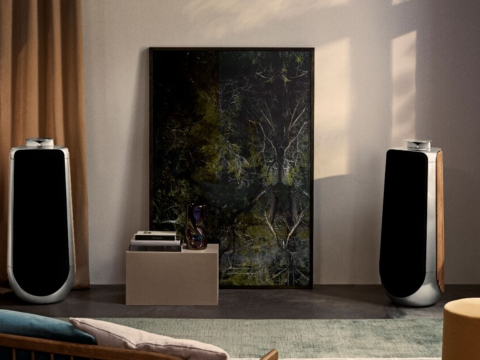 Loa B&O Beolab 50 (USED)