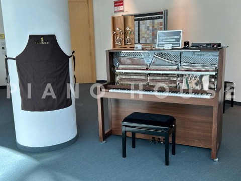 FEURICH 123 Vienna (Made in Austria)