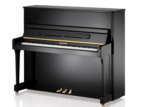 V4 (W.HOFFMANN VISION)