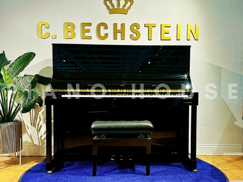 V8 (W.HOFFMANN VISION)