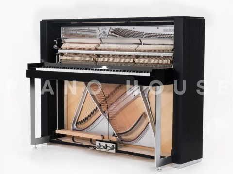 Sauter Accento Classico 116