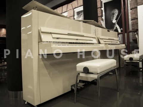 Sauter Pure Basic (Ivory Polished)