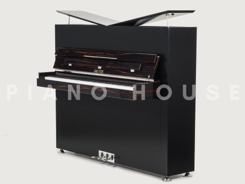 Sauter Pure Basic (Black Matte & Walnut)