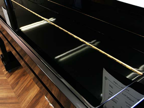 KAWAI CX-21DP