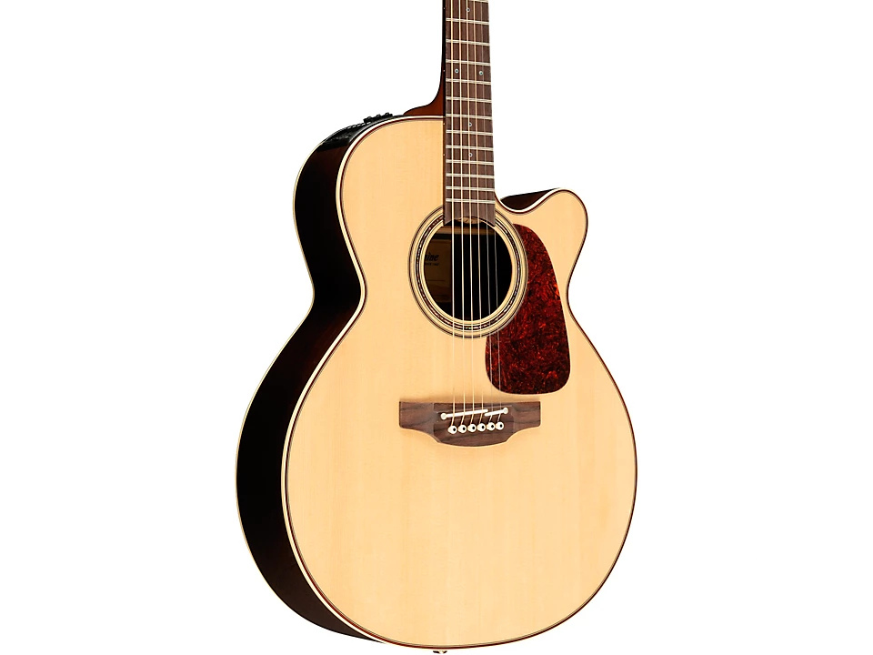Acoustic Takamine P5NC