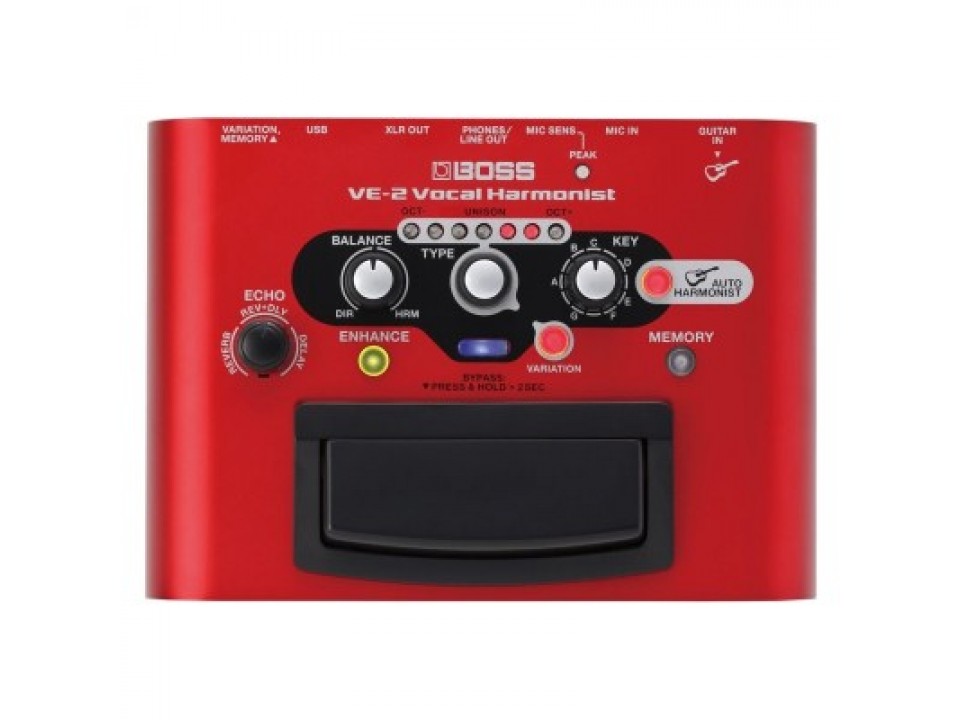 Boss VE2