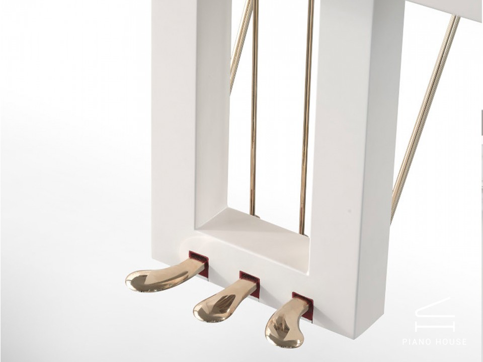 [SPECIAL] FAZIOLI ORIGAMI FAIRMONT