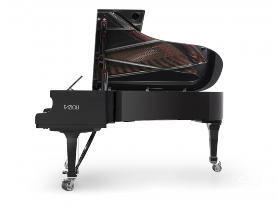 [SPECIAL] FAZIOLI SILVER