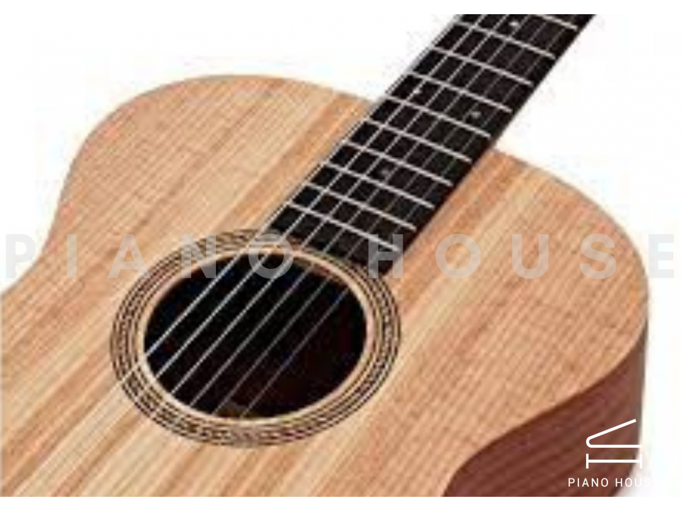 Taylor Academy A12-N