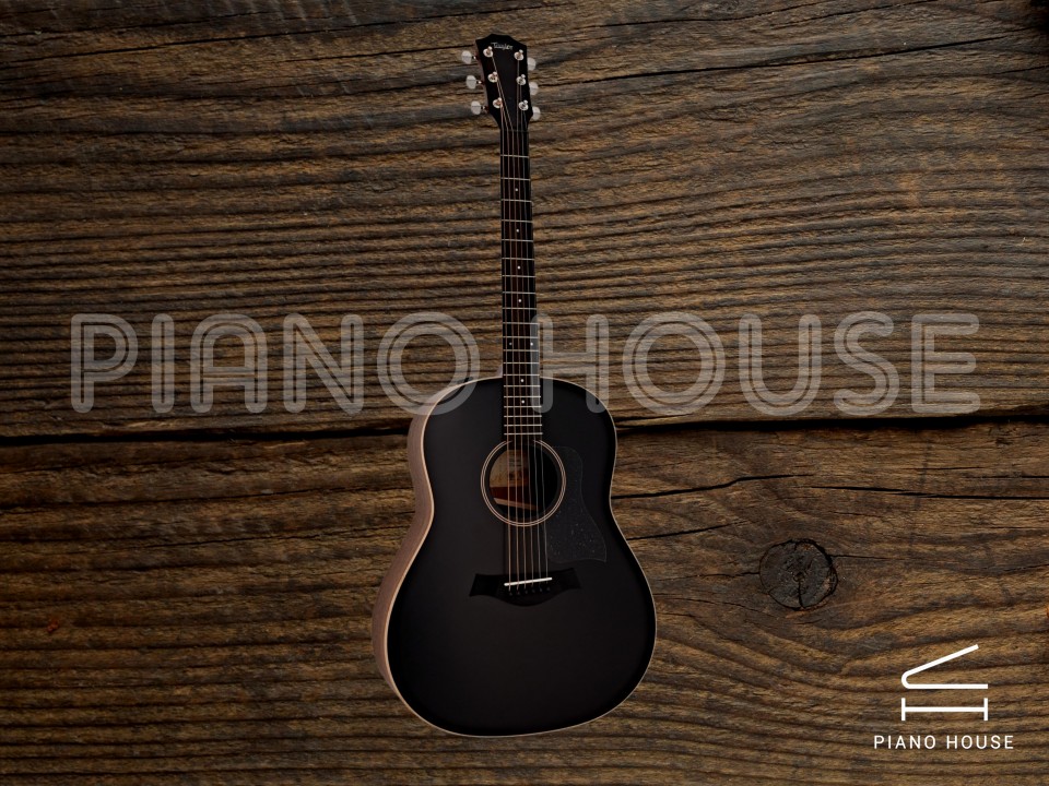 Taylor AD17E