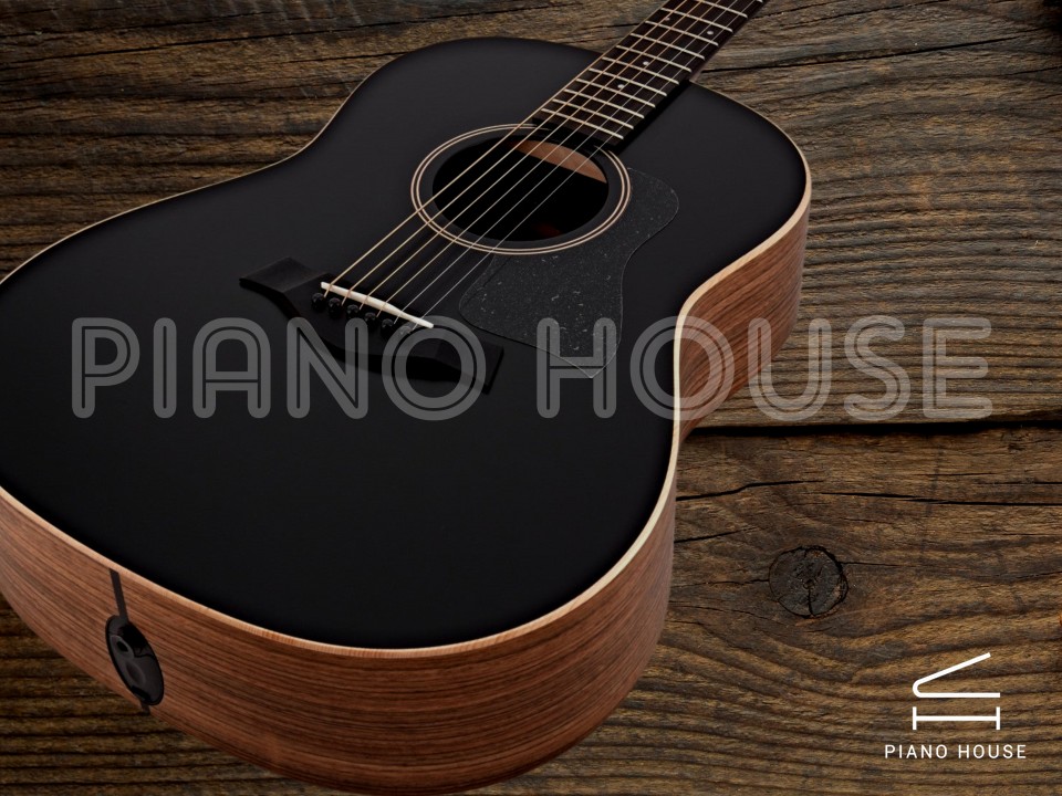 Taylor AD17E