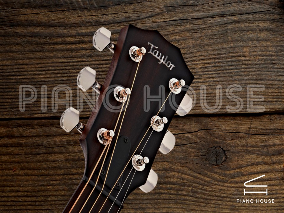Taylor AD17E