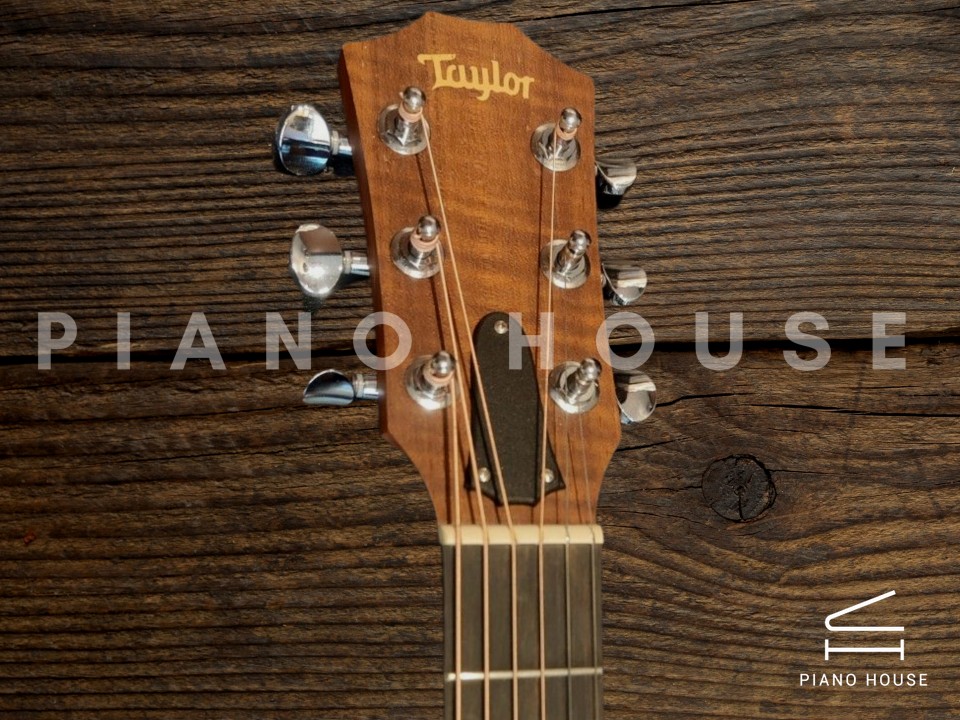 Taylor GS Mini-e Walnut
