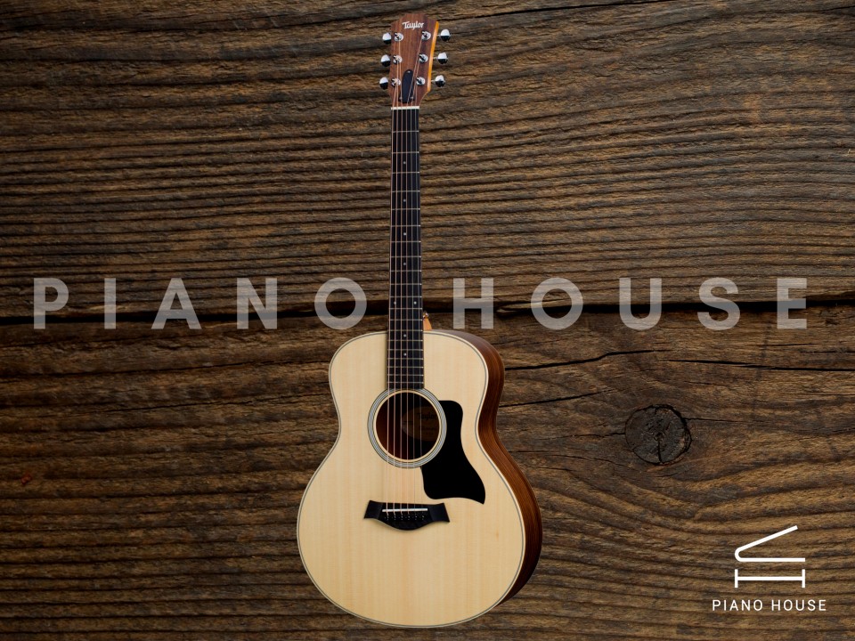 Taylor GSMINI E Rosewood