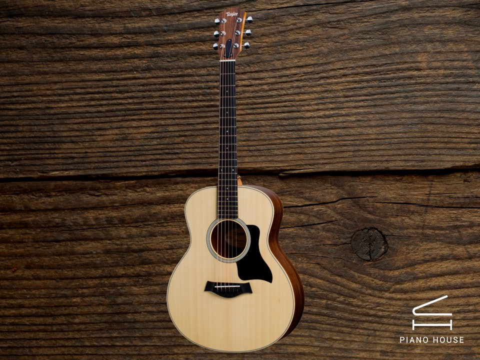 Taylor GSMINI E Rosewood