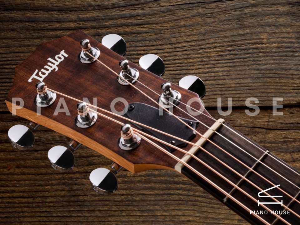 Taylor GSMINI E Rosewood