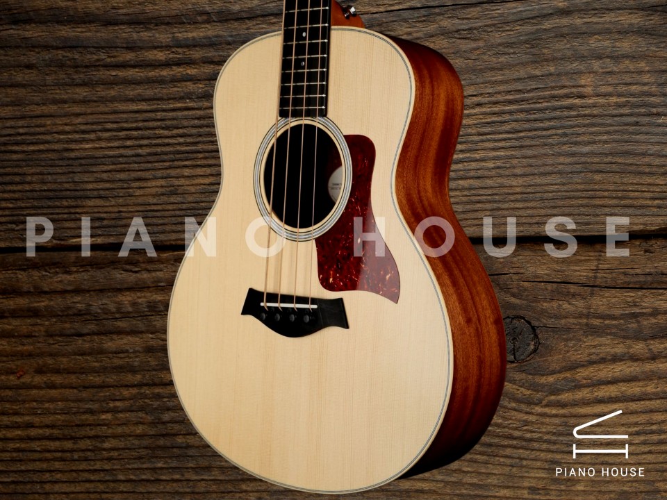 Taylor GSMini-e Bass