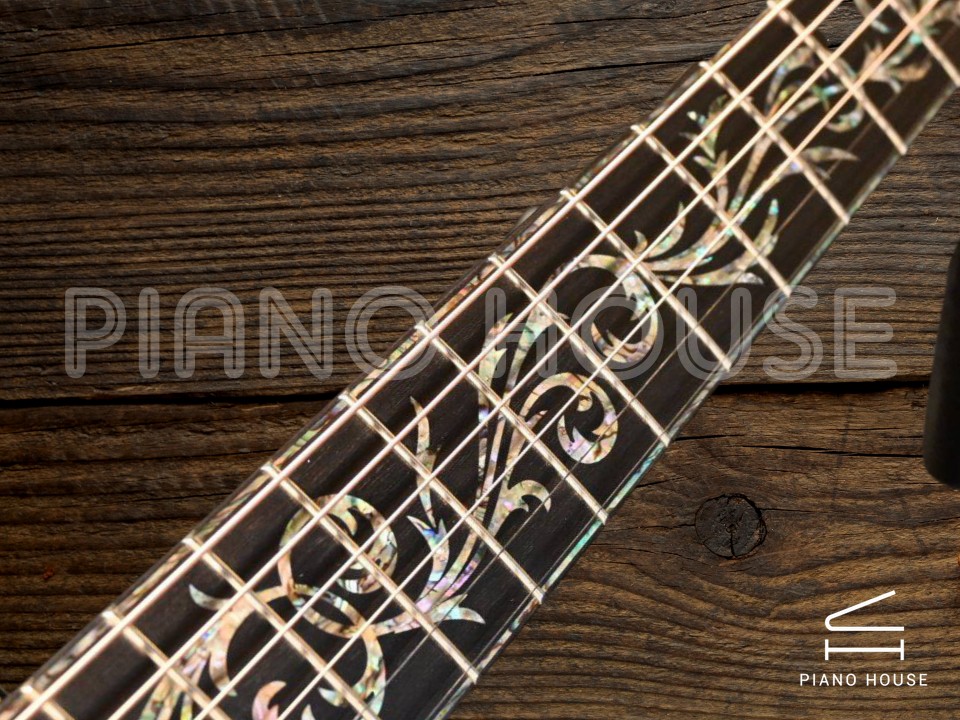 Taylor PS14CE, Macassar