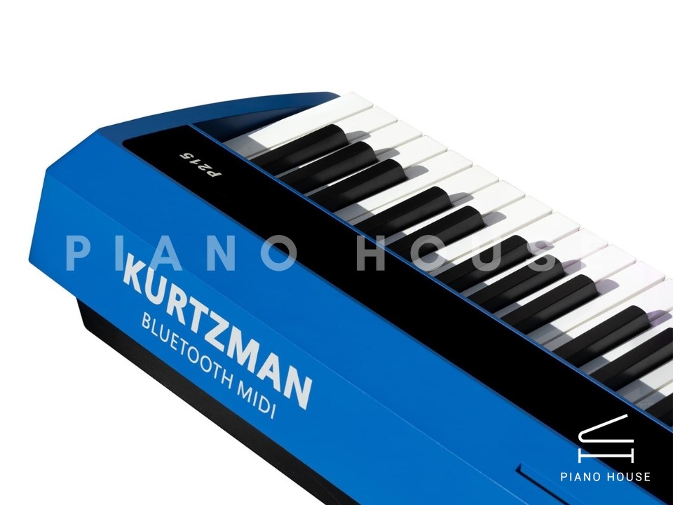 Kurtzman P215 Blue