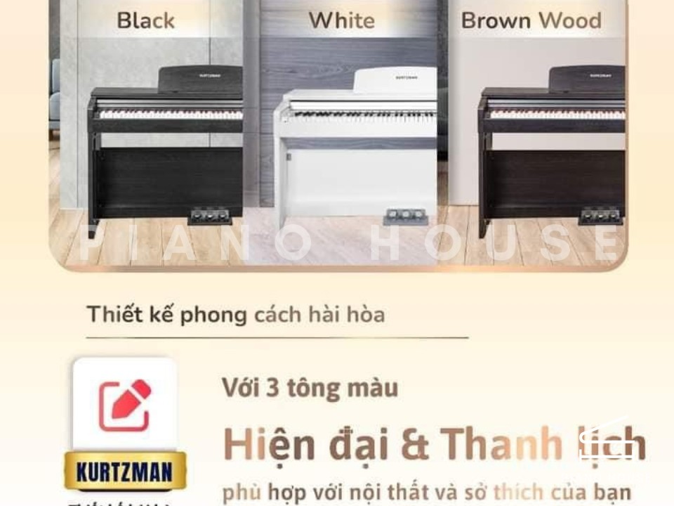 Kurtzman KS1 Brown Wood