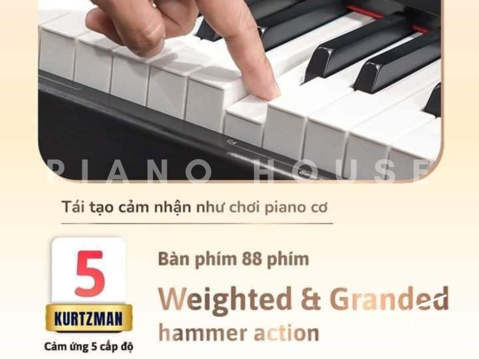 Kurtzman KS1 Brown Wood