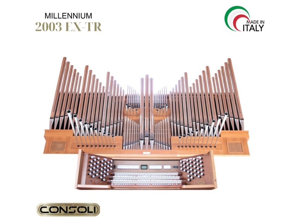 MILLENNIUM 2003 EX-TR